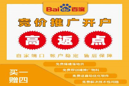 百度推广中SEO优化的成功案例分析